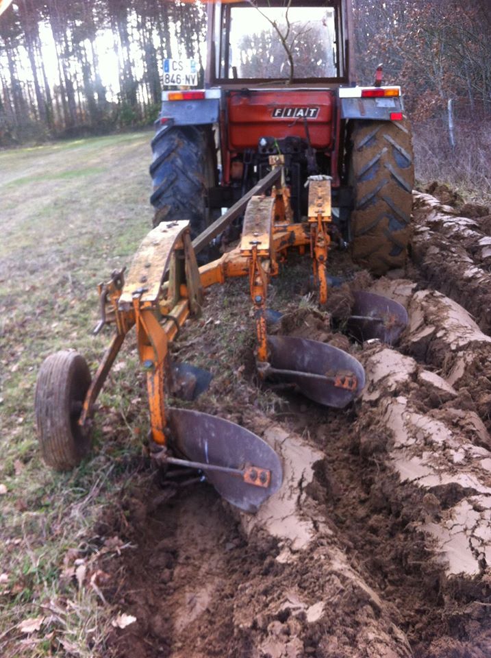 15972451_1831774673742937_959591764829846419_o