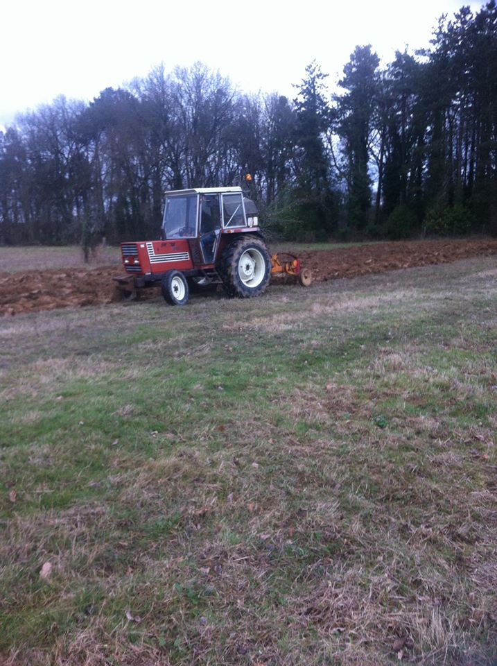 15994777_1831774803742924_5509146466273953874_o