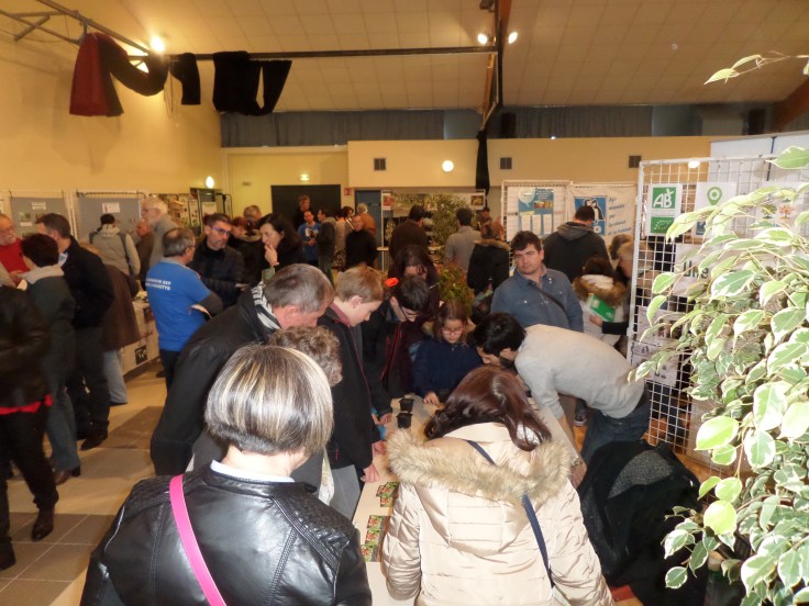 SAMSUNG CAMERA PICTURES