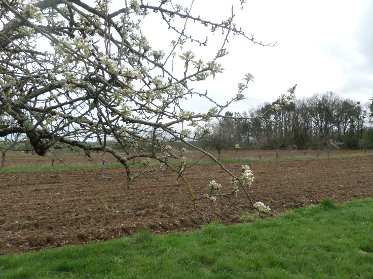 SAMSUNG CAMERA PICTURES