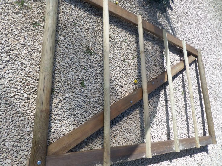 SAMSUNG CAMERA PICTURES