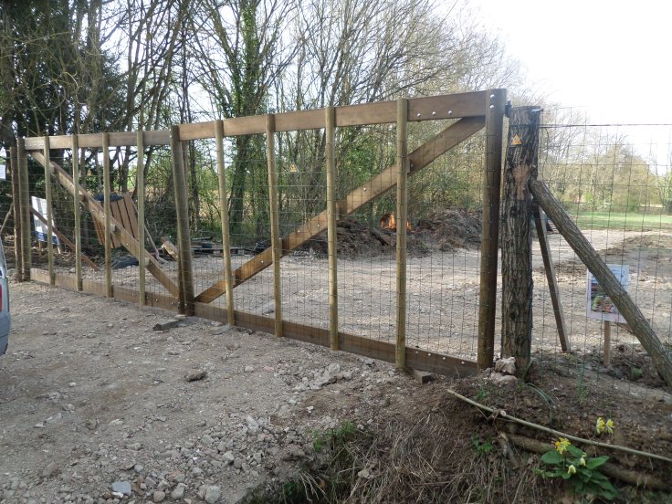 SAMSUNG CAMERA PICTURES