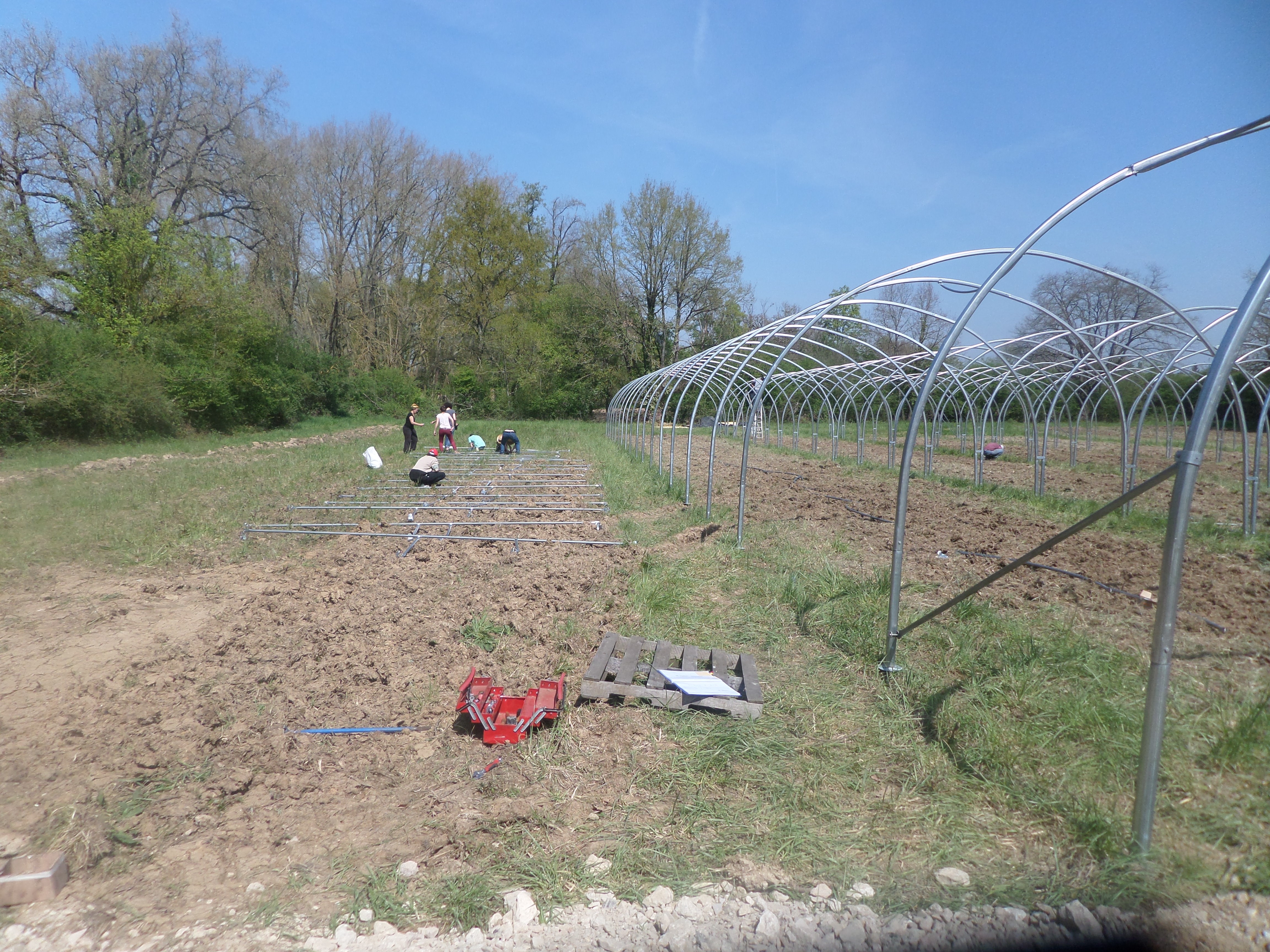 SAMSUNG CAMERA PICTURES