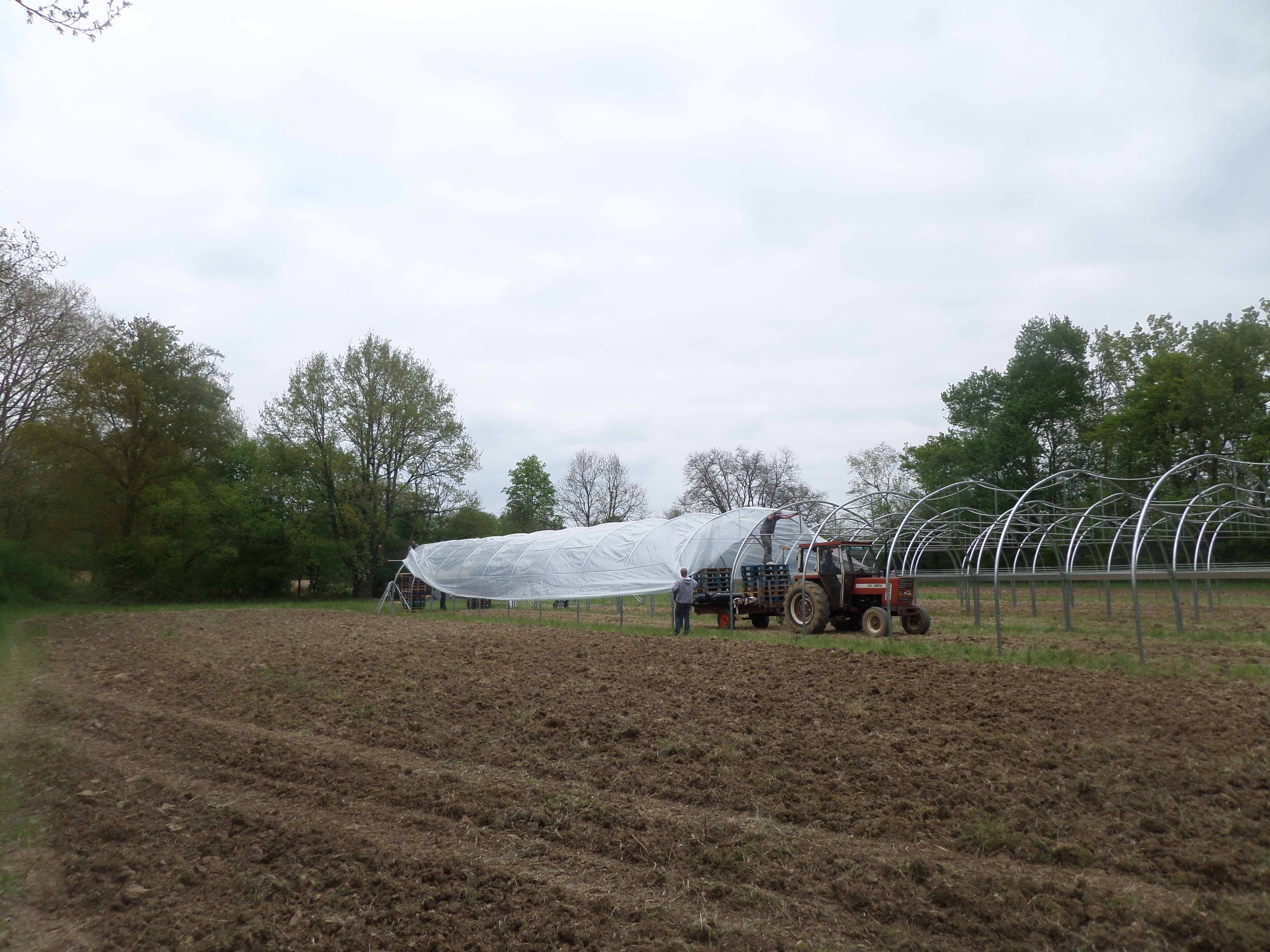 SAMSUNG CAMERA PICTURES