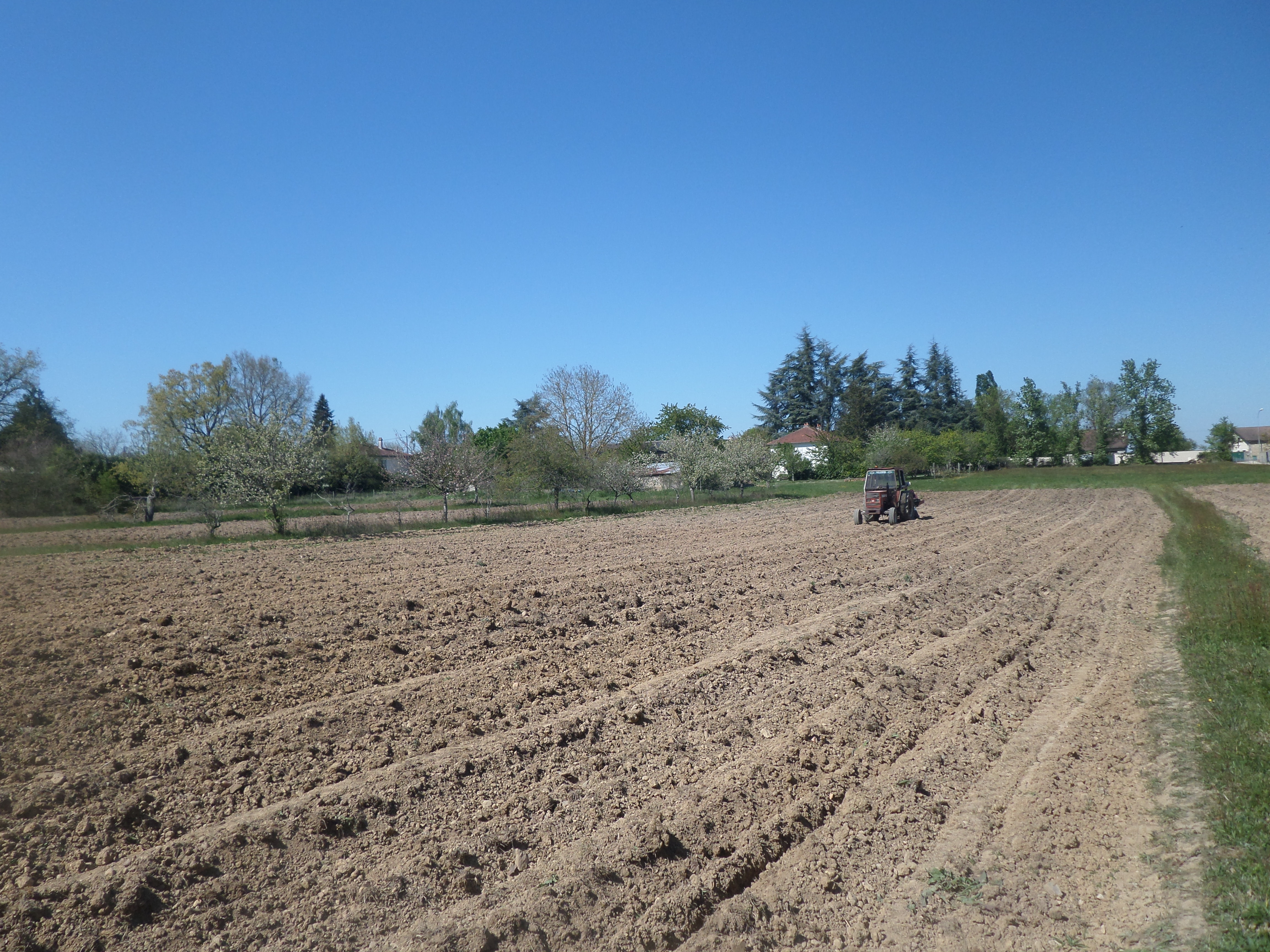 SAMSUNG CAMERA PICTURES