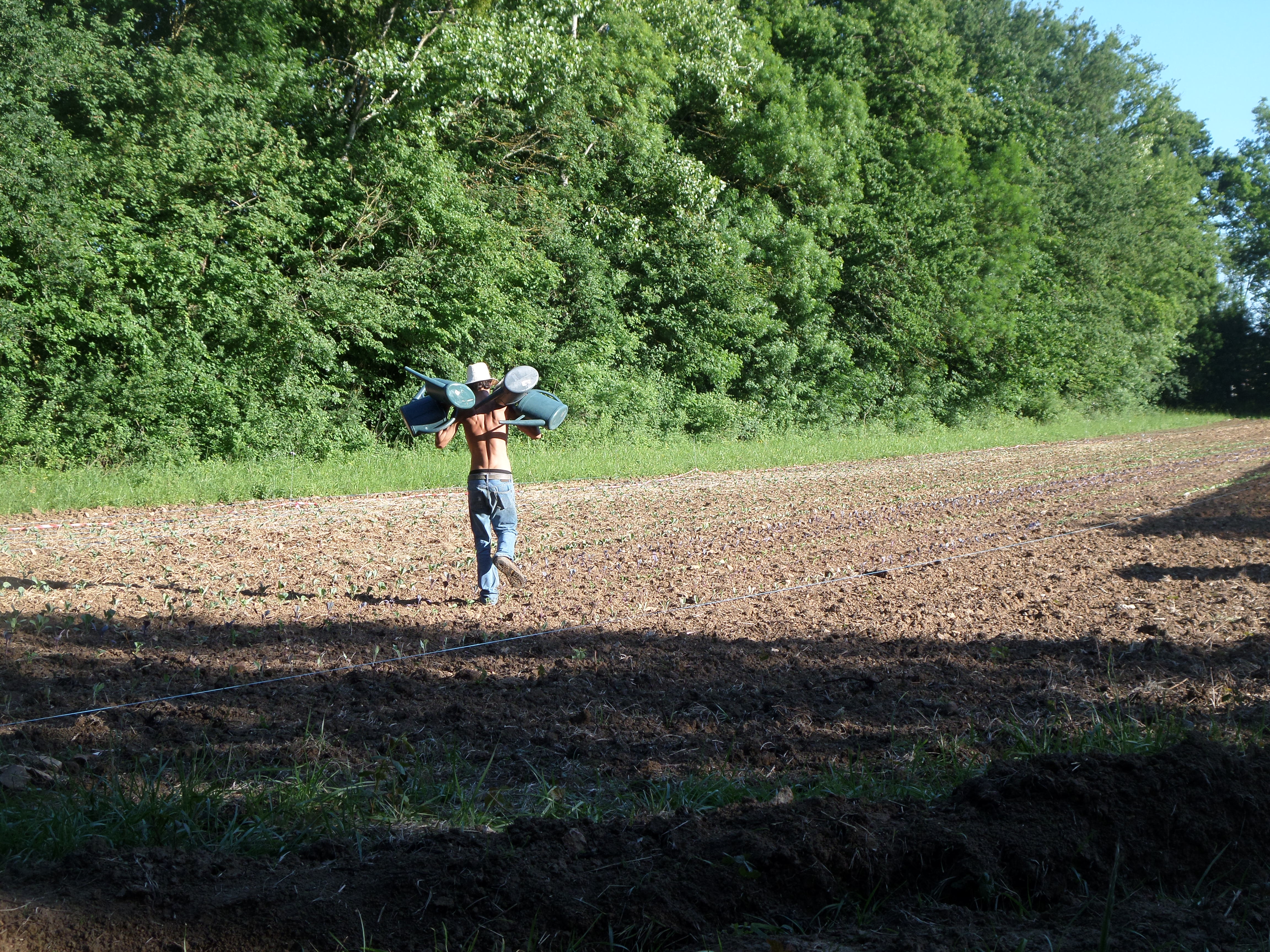 SAMSUNG CAMERA PICTURES