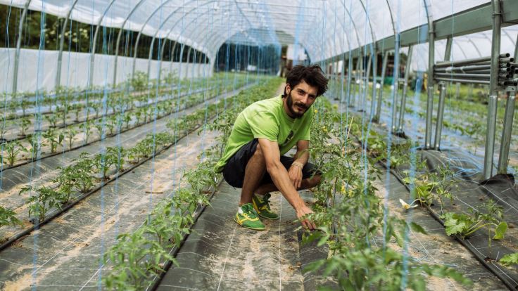 3441-mathieu-rullier_5896257