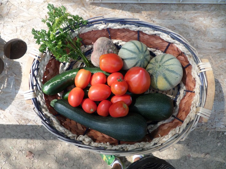 SAMSUNG CAMERA PICTURES