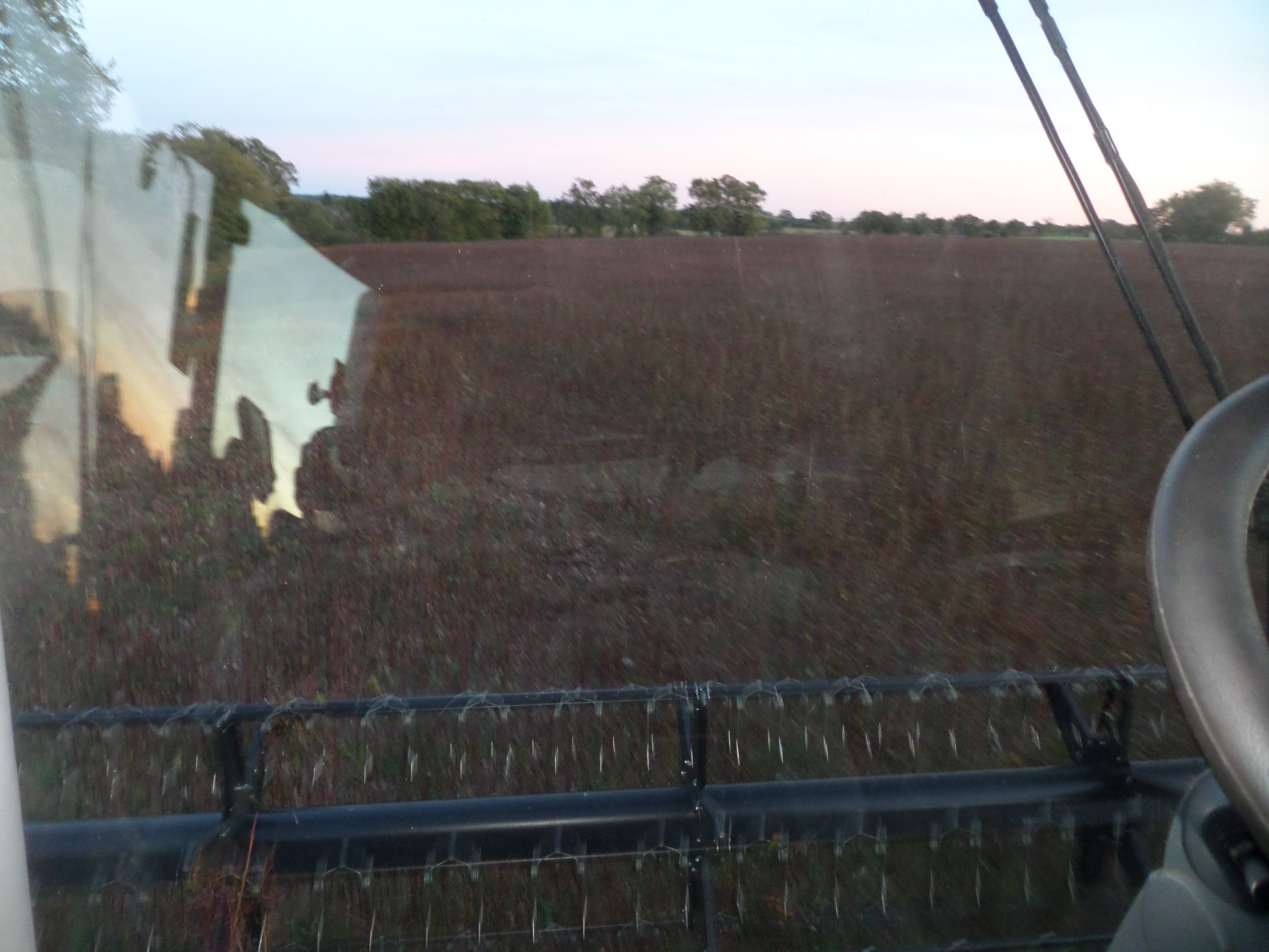 SAMSUNG CAMERA PICTURES