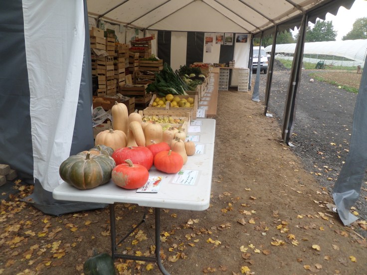 SAMSUNG CAMERA PICTURES