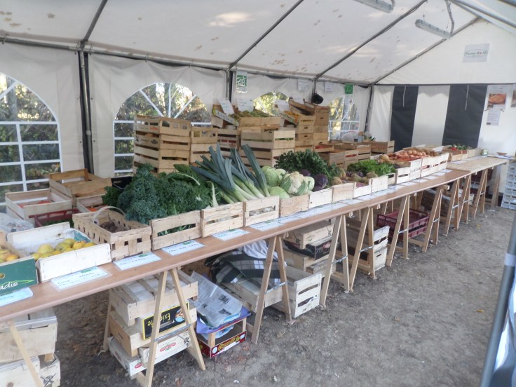 SAMSUNG CAMERA PICTURES