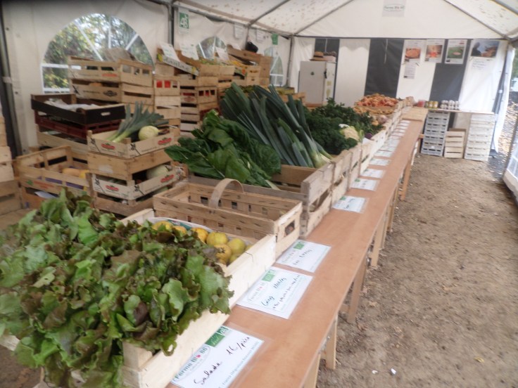 SAMSUNG CAMERA PICTURES