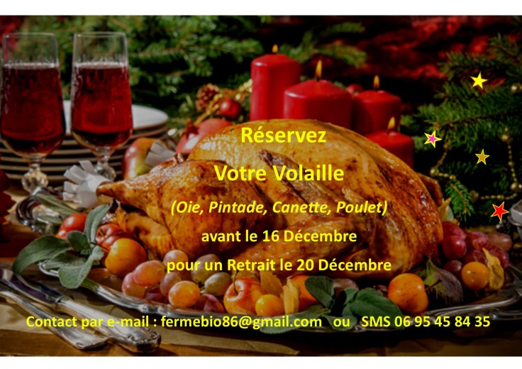 volailles noël.jpg
