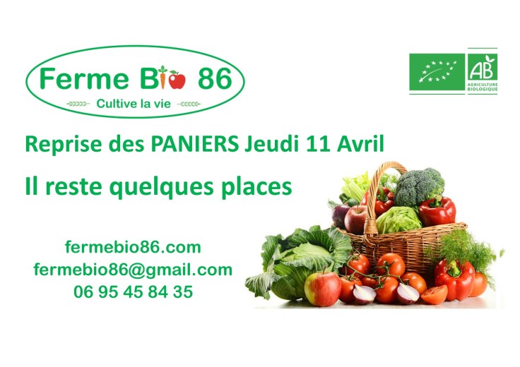 reprise paniers  2019.jpg