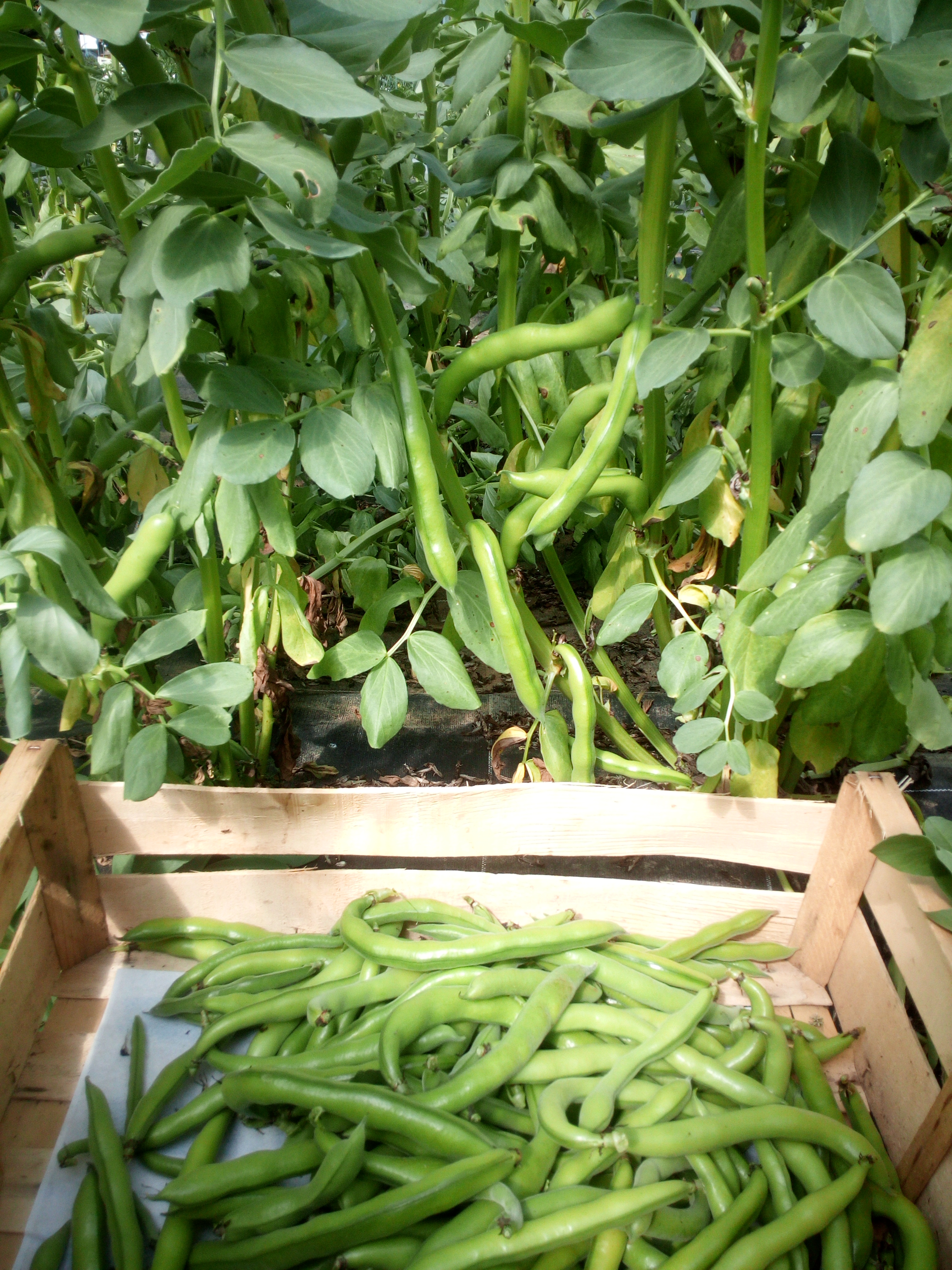 IMG_20190507_114102[1]