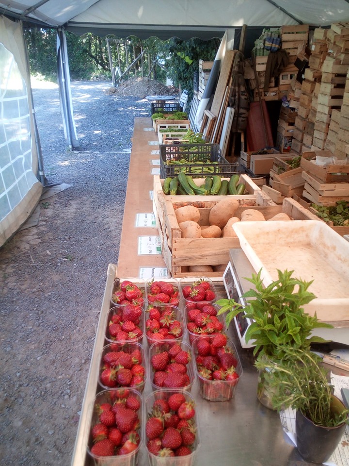 61638518_2317958368457896_7765303246284914688_n