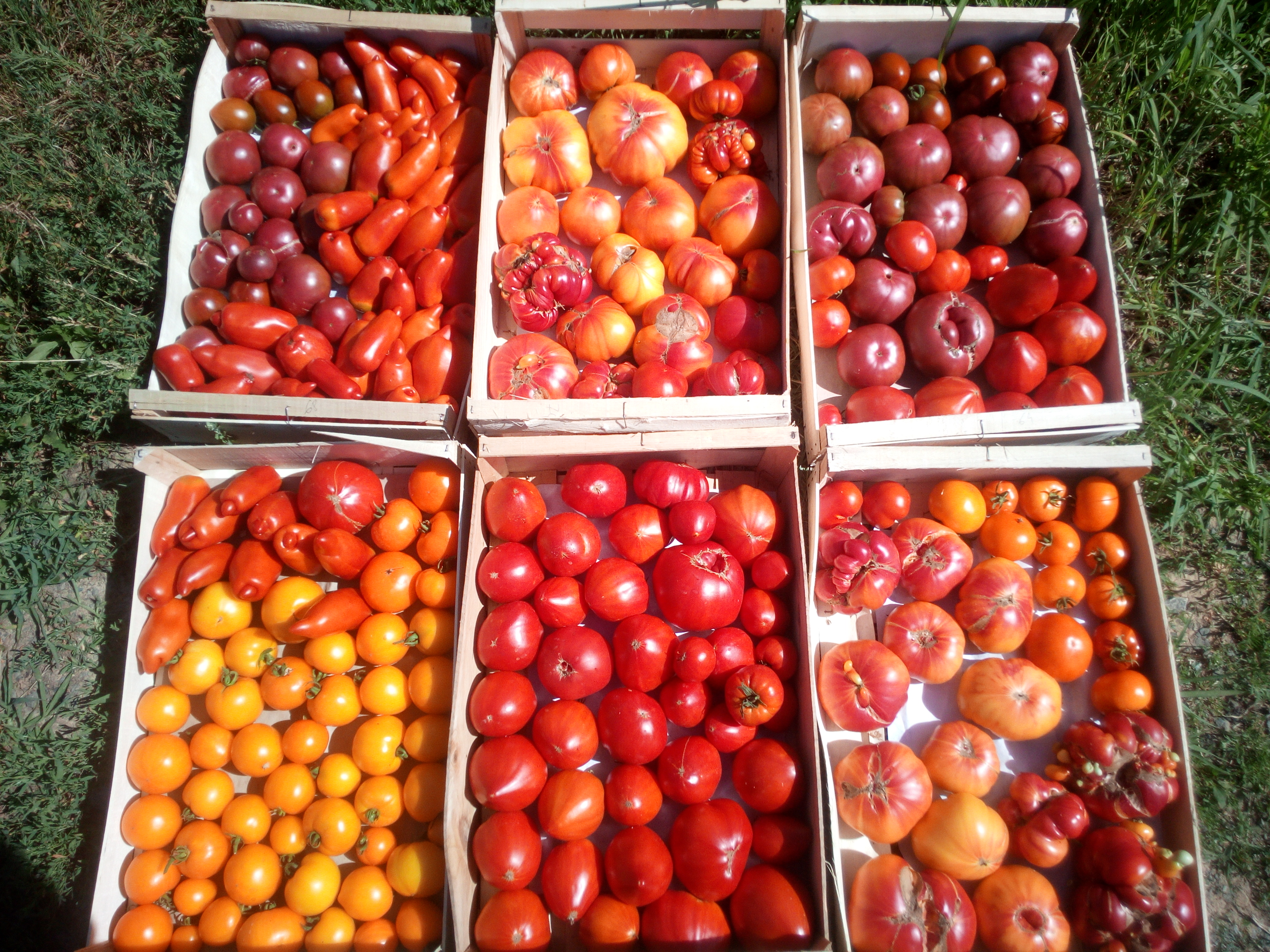 IMG_20190709_111210[1]