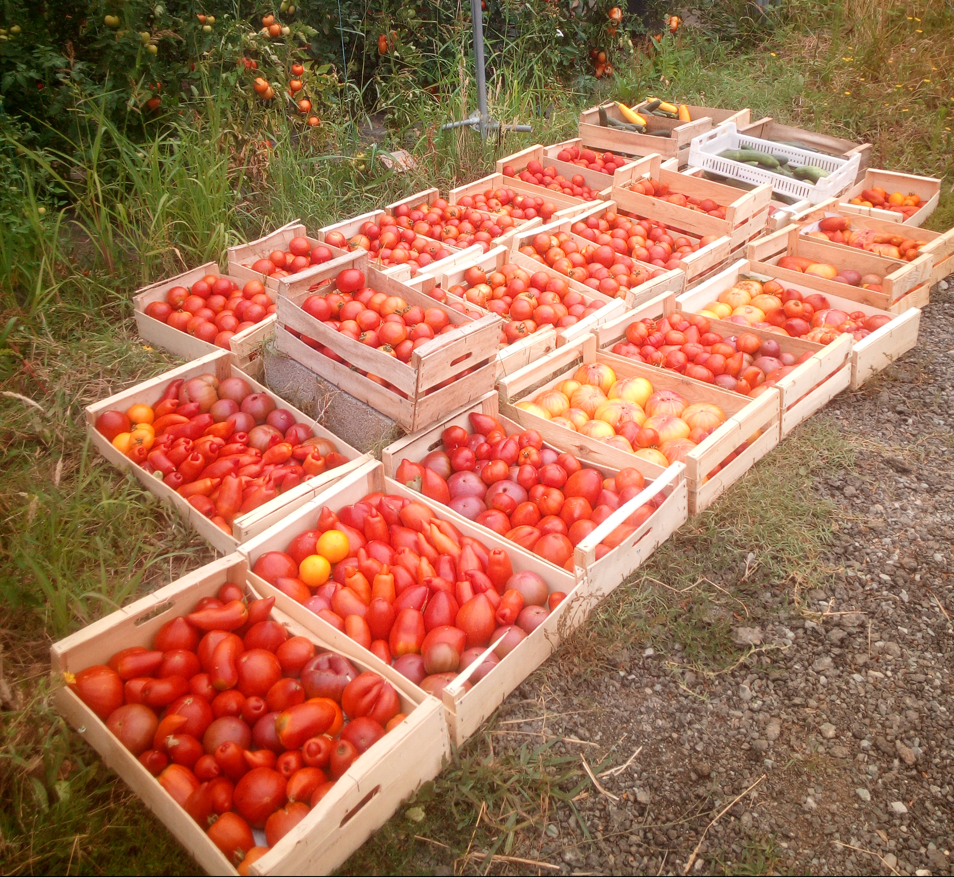 IMG_20190712_094604[1]