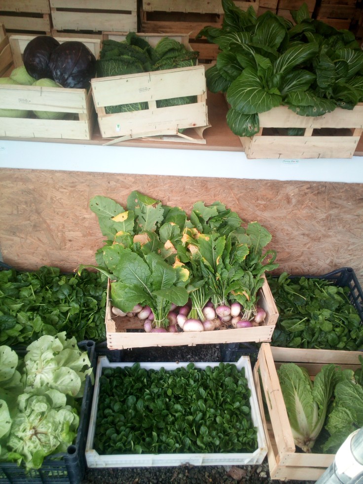 IMG_20200117_133502[1]